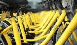 ofo单车最新爆料,行业变革下的生存之道与未来展望”